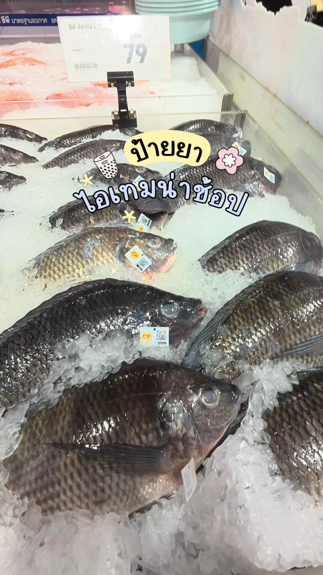 ไอเทมน่าช้อปโลตัส อาหารสดCP ปลานิลสด
