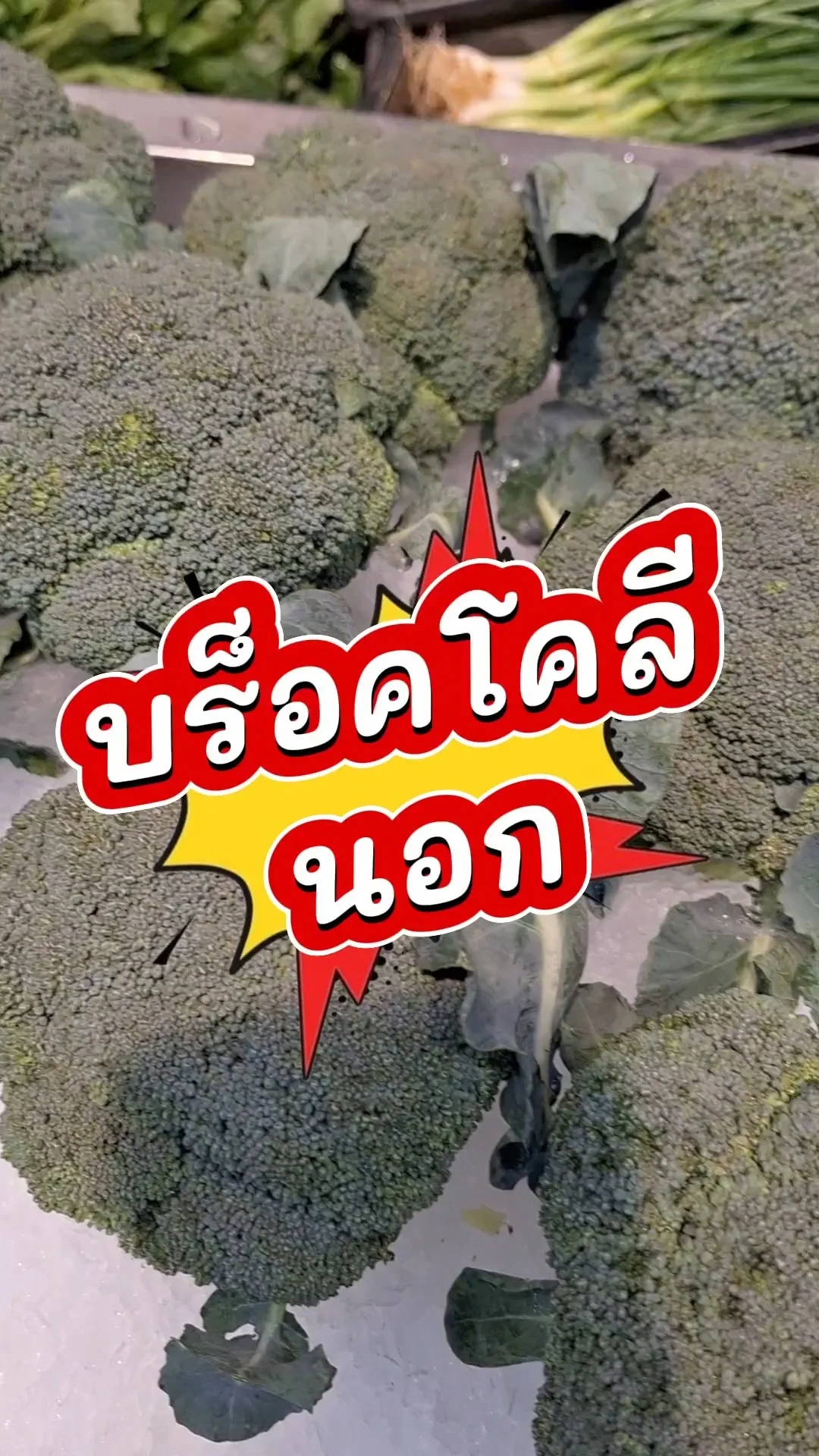 รีวิว บร็อคโคลีนอก