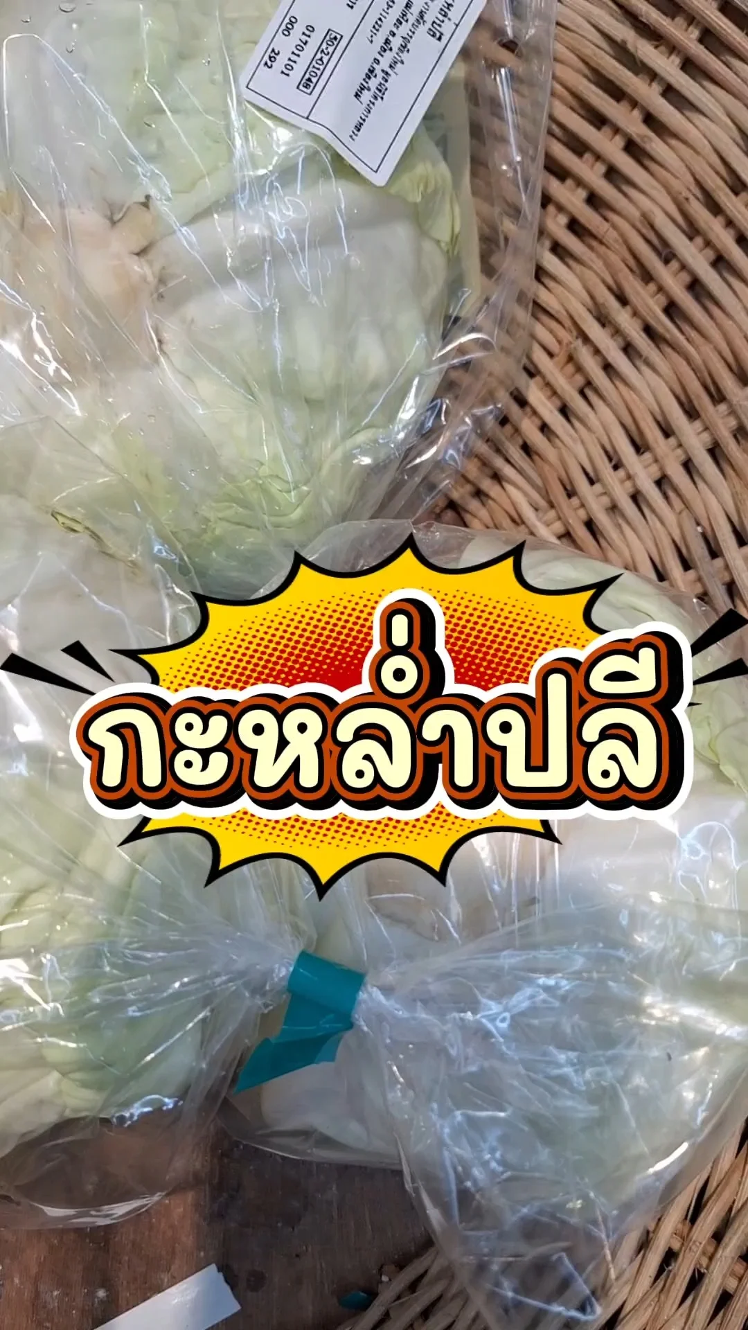 รีวิว กะหล่ำปลี โลตัส