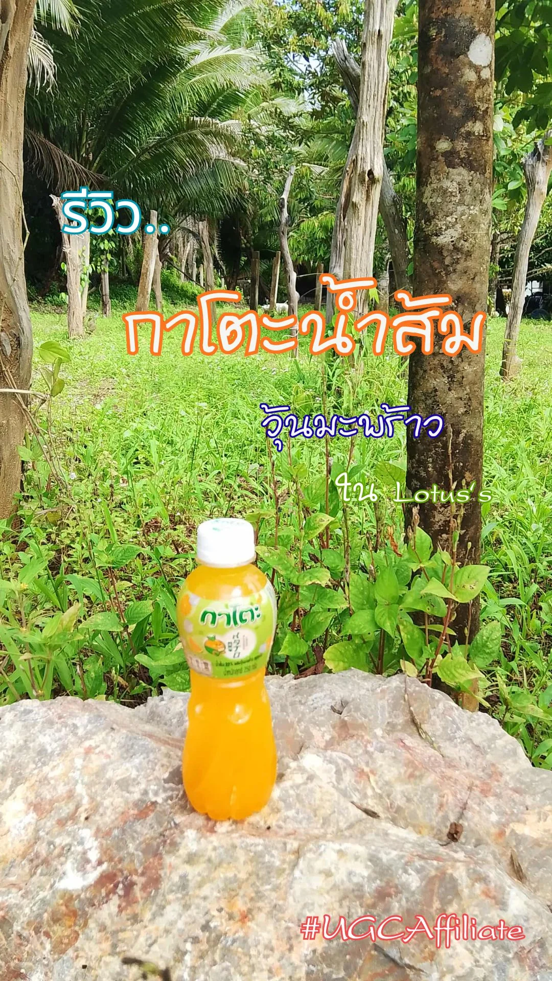 รีวิว..กาโตะน้ำส้ม+วุ้นมะพร้าว ใน Lotus's #UGCAffiliate
