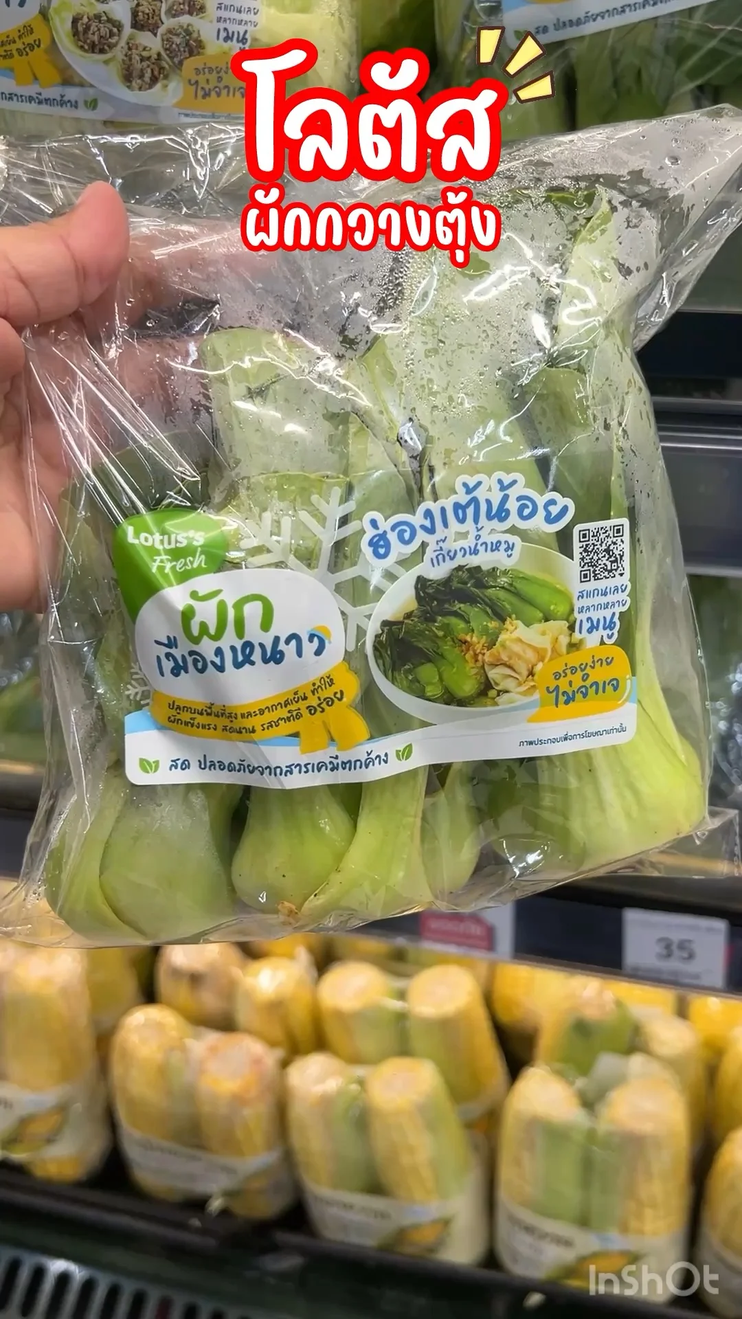 โลตัส ผักกวางตุ้ง ฮ่องเต้