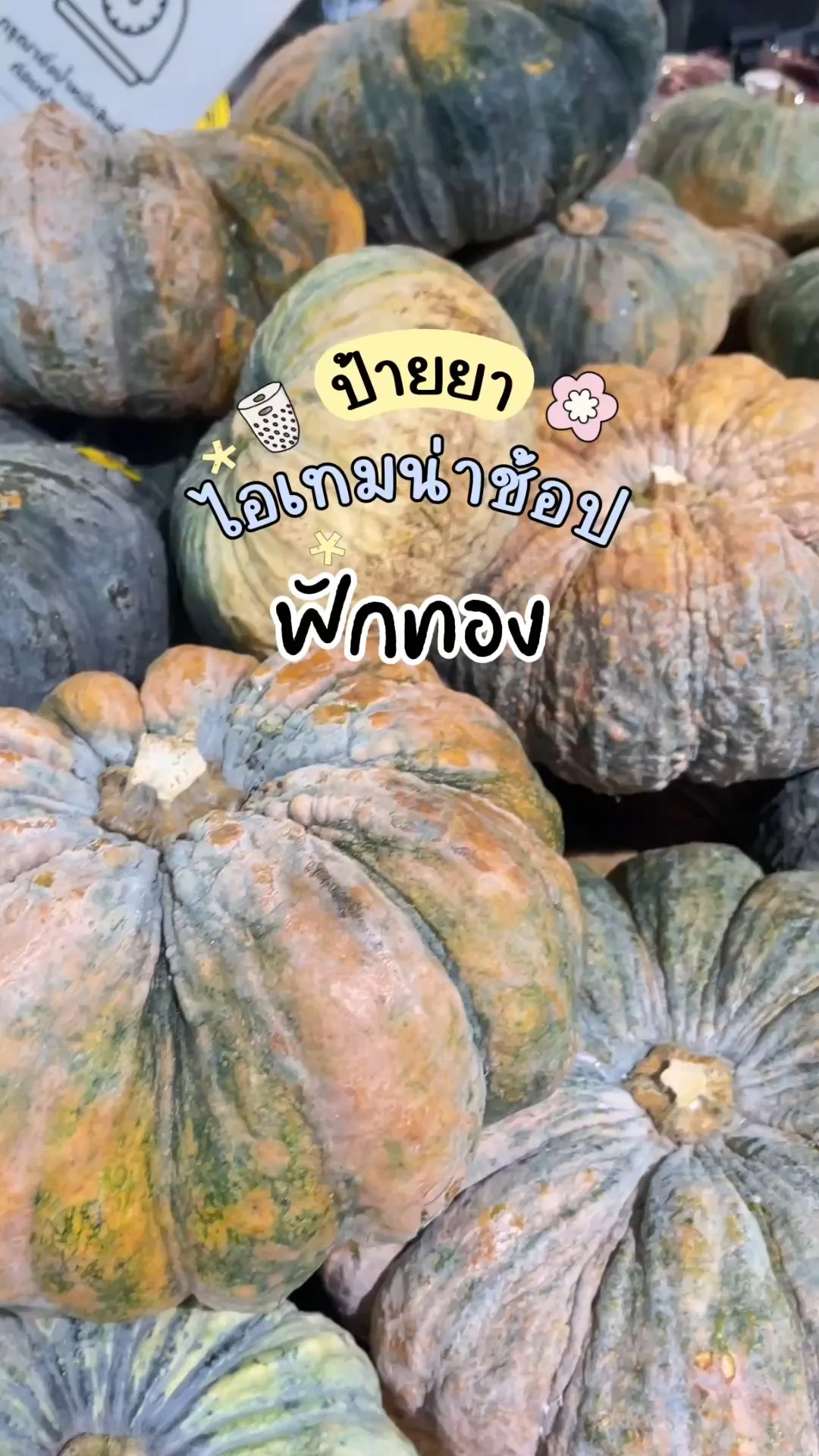 ไอเทมน่าช้อปโลตัส ฟักทองลูกโตๆ