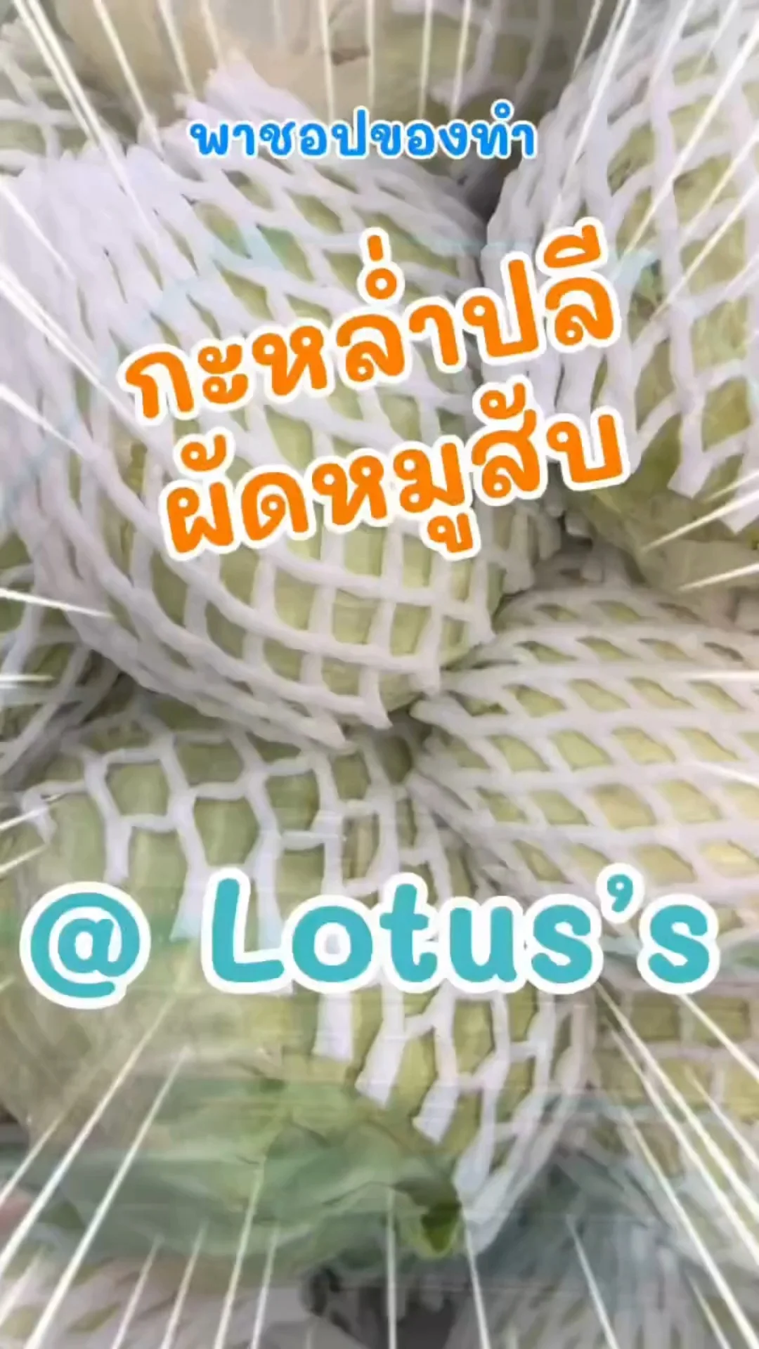 พาชอปของทำเมนู กะหล่ำปลีผัดหมูสับ ง่ายๆ กันใน โลตัส (Lotus's) #UGCAffiliate