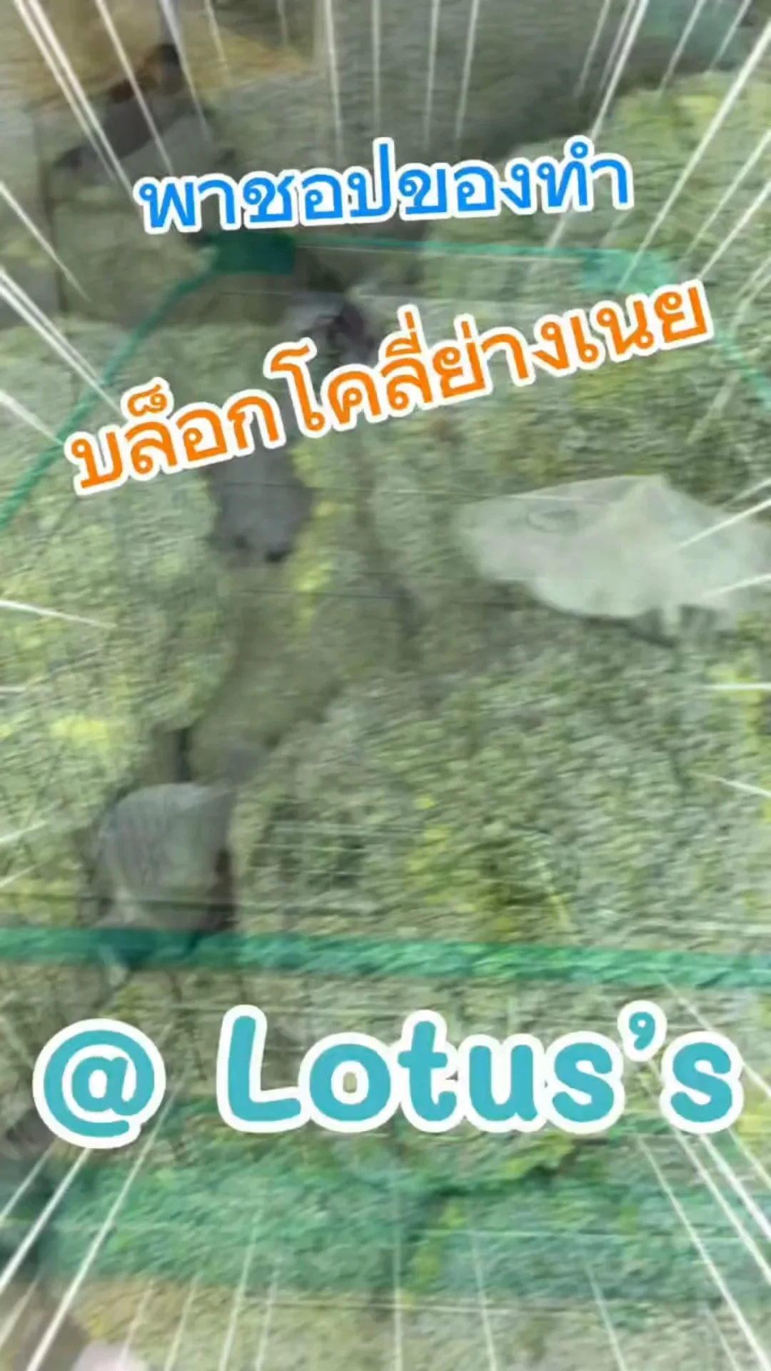 พาชอปของทำ บล็อกโคลี่ ย่างเนย ใน โลตัส (Lotus's) #UGCAffiliate