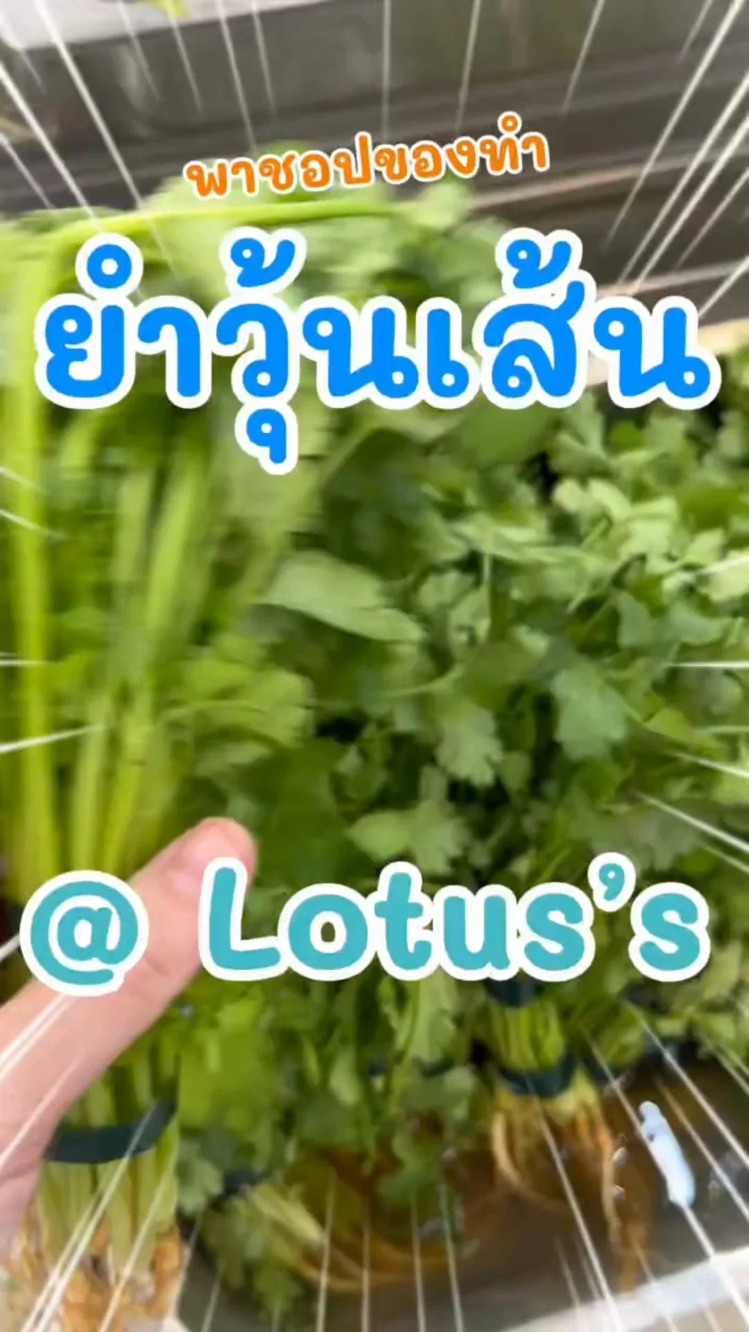 พาชอปของทำเมนู ยำวุ้นเส้น ง่ายๆ กันใน โลตัส (Lotus's) #UGCAffiliate