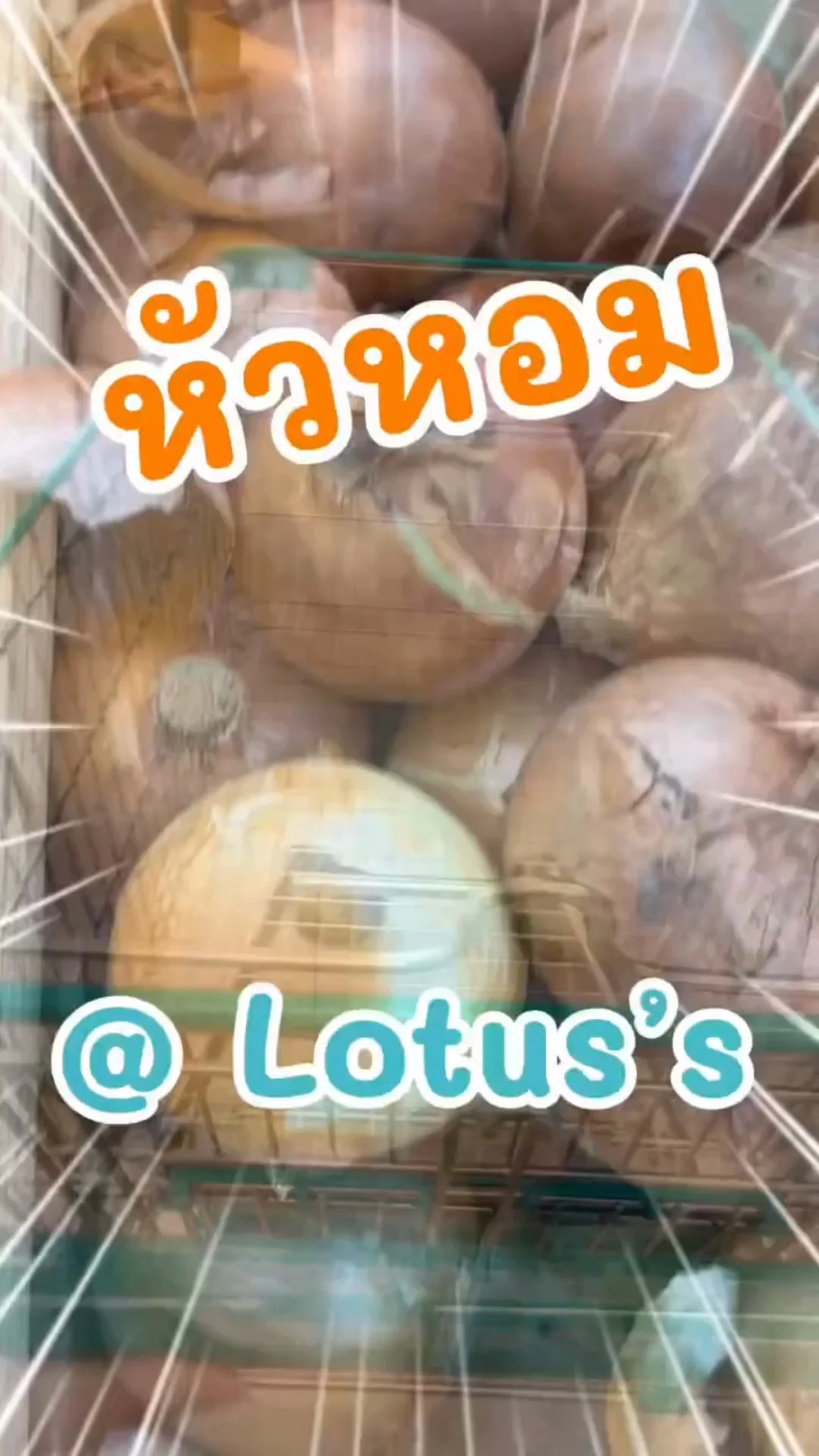 พาชอป หัวหอม ไปทำเมนูอร่อยใน โลตัส (Lotus's) #UGCAffiliate