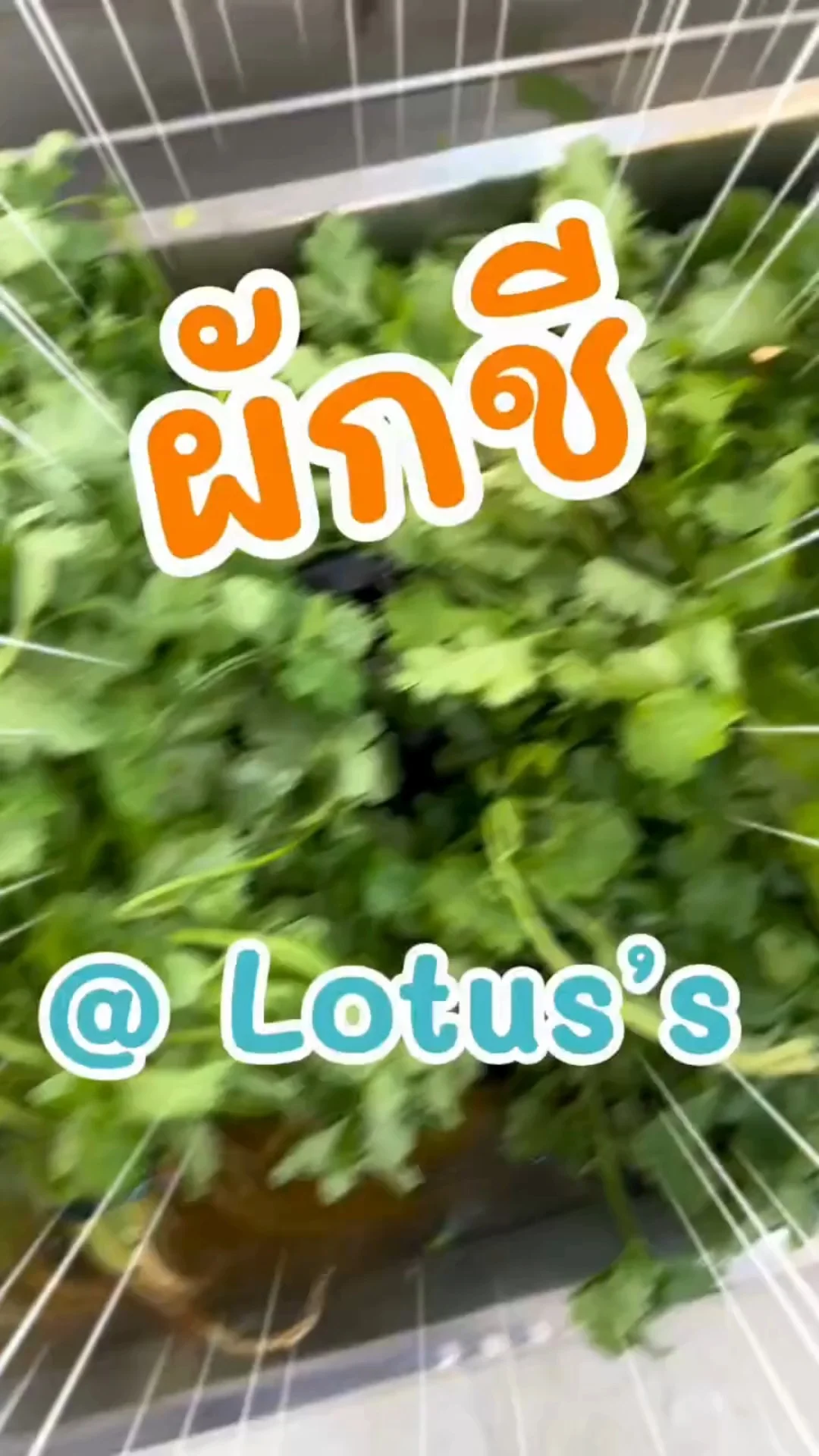 พาชอป ผักชี ทำเมนูอร่อยจากห้าง โลตัส (Lotus's) #UGCAffiliate