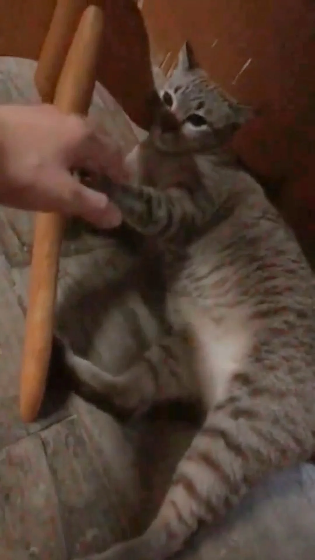 ทำไมคนชอบแกล้ง