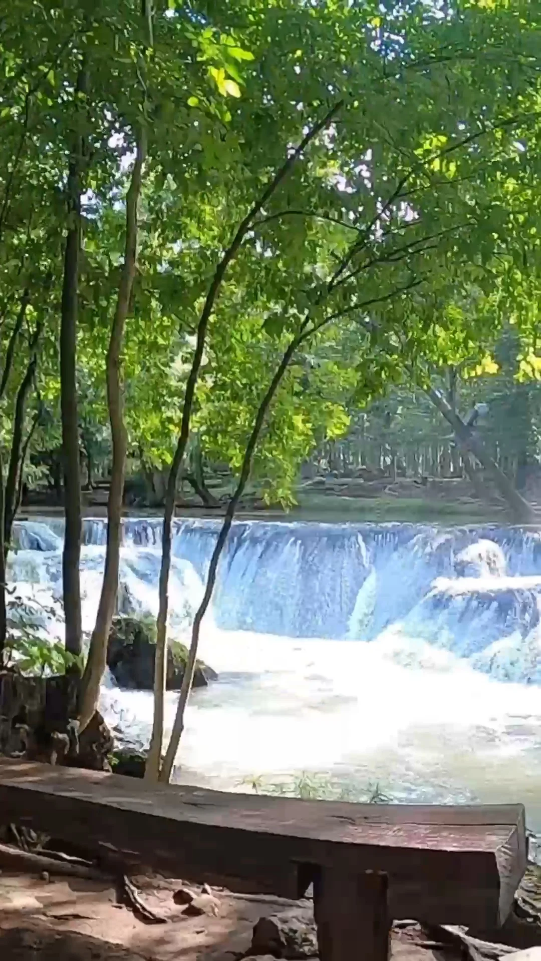 ธรรมชาติช่วยให้เรารู้สึกดีได้เสมอ