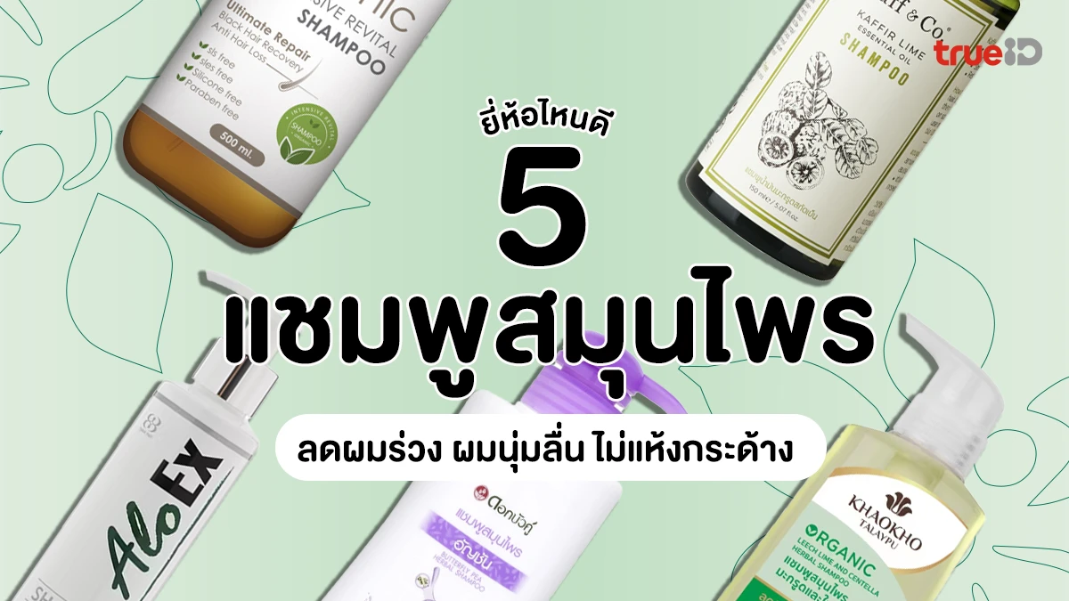 5 แชมพูสมุนไพร ยี่ห้อไหนดี 2025 เหมาะกับคนมีปัญหาผมร่วง ผมนุ่มลื่น ไม่แห้งกระด้าง