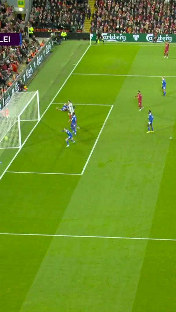 Leicester City All Own Goals