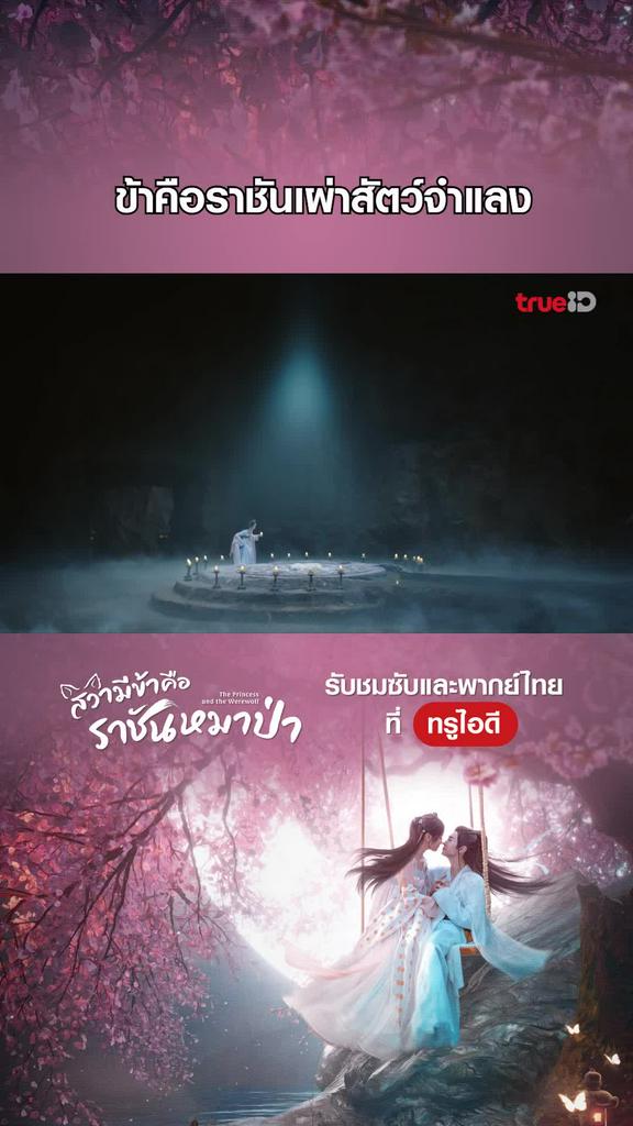 ไฮไลท์ สวามีข้าคือราชันหมาป่า EP.02-01