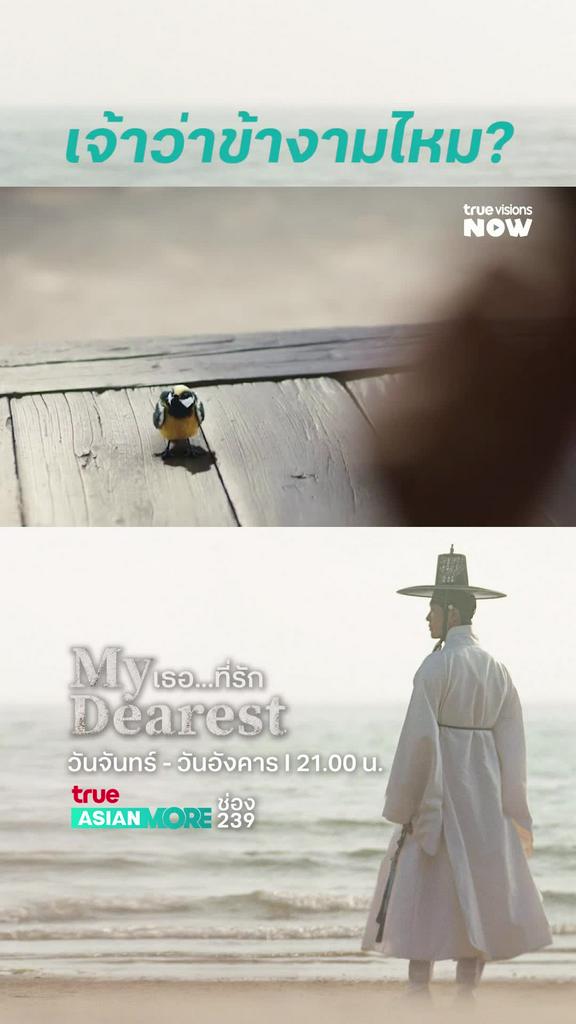 คืนนี้ห้ามพลาด l MY DEAREST S1