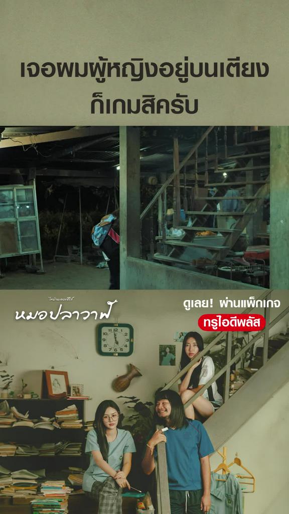 ไฮไลท์ หมอปลาวาฬ