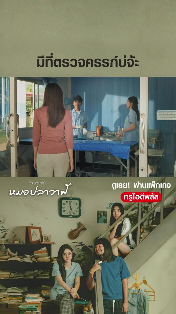 ไฮไลท์ หมอปลาวาฬ
