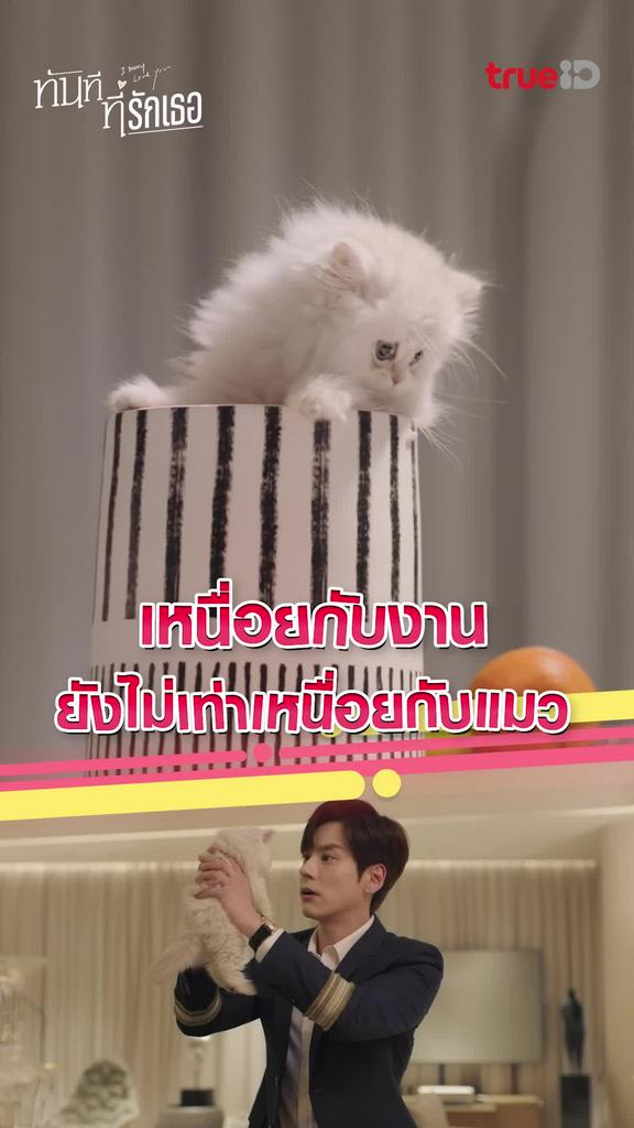 ไฮไลท์ ทันทีที่รักเธอ EP.03 เหนื่อยกับน้องแมว