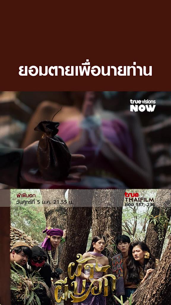 ทูนหัวของบ่าว | ผ้าผีบอก