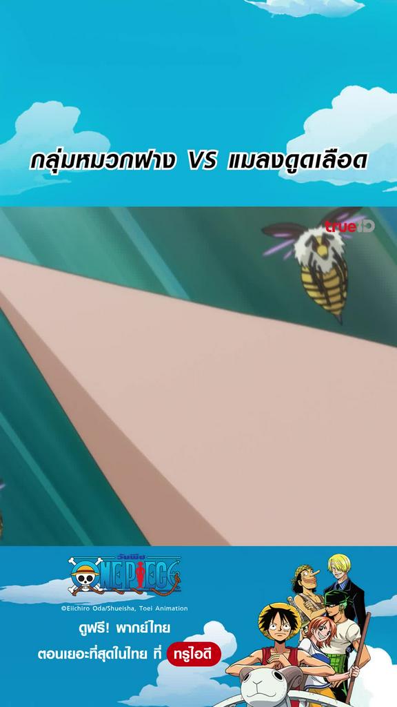 วันพีช ซีซั่น19 ไฮไลท์ EP.765 กลุ่มหมวกฟางล่าแมลง