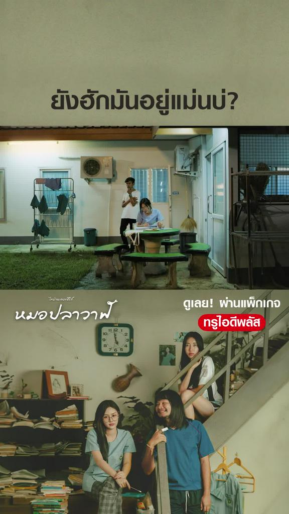 ไฮไลท์ หมอปลาวาฬ