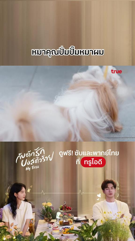 ไฮไลท์ กับดักรักบอสตัวร้าย