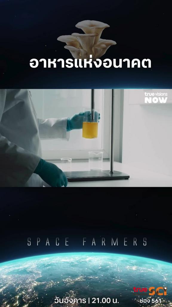 เห็ดดี เห็ดมีประโยชน์ l SPACE FARMERS