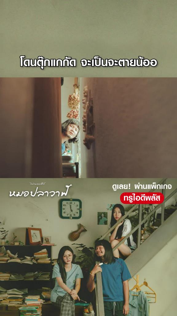 หนัง หมอปลาวาฬ-Doctor Plawanโดนตุ๊กแกกัด จะเป็นจะตายน้ออ