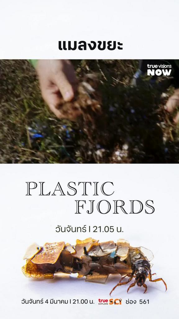 ปัญหาขยะกำลังทำลายชีวิตและสมดุลธรรมชาติมากขึ้นทุกที l PLASTIC FJORDS