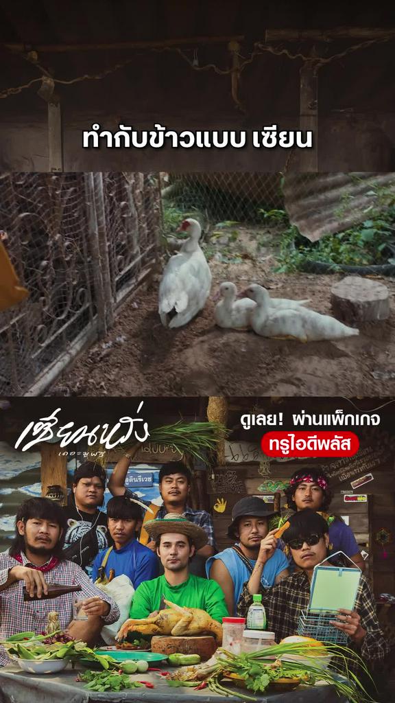 หนัง เซียนหรั่ง เดอะมูฟวี่-Sien Lang ทำกับข้าวแบบ เซียน