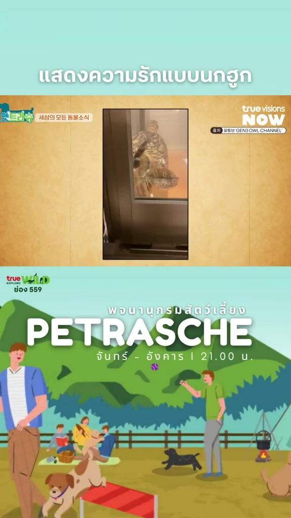 ขนหมดตัวได้เลยนะ l PETRASCHE