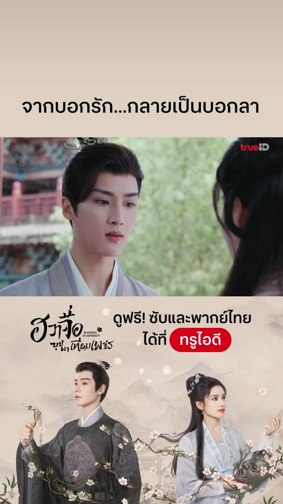 ฮวาจื่อบุปผาเทียมเพชร EP.31 : บอกรักเป็นบอกลา