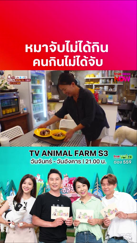 ทำเป็นอาชีพได้เลย l TV ANIMAL FARM S3