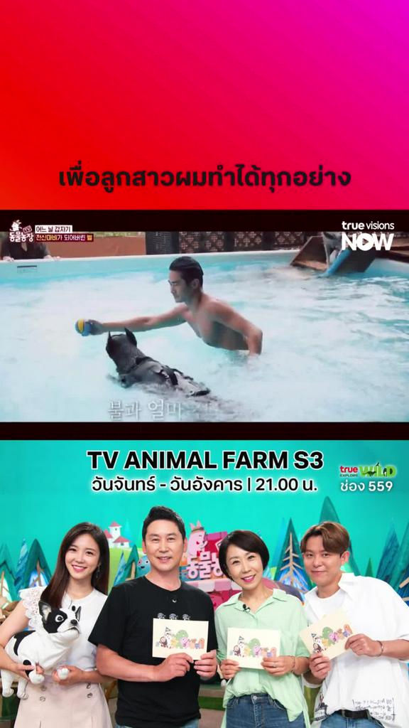 เบลล์ไม่ใช่แค่สัตว์เลี้ยง l TV ANIMAL FARM S3