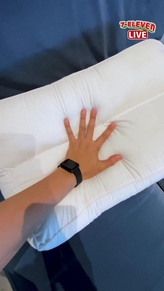หลับฟินไม่ไหว กับหมอนสุขภาพ Slumberland