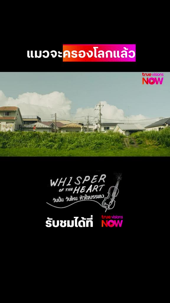 ฉันเมื่อเจอแมว | Whisper of the Heart วันนั้น วันไหน หัวใจบรรเลง