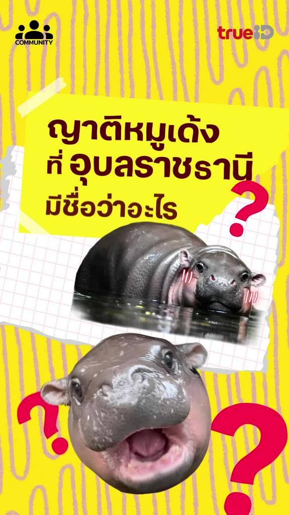 เที่ยวจังหวัดอุบลราชธานี มีอะไรพิเศษมากมาย พร้อมลิสต์ร้านเด็ดจาก "ทรูชวนชิม ทรูทั่วไทย อร่อยทั่วทิศ"