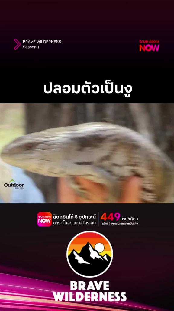 ดูๆ ไปแล้วก็น่ารักเหมือนกันนะ l BRAVE WILDERNESS S1