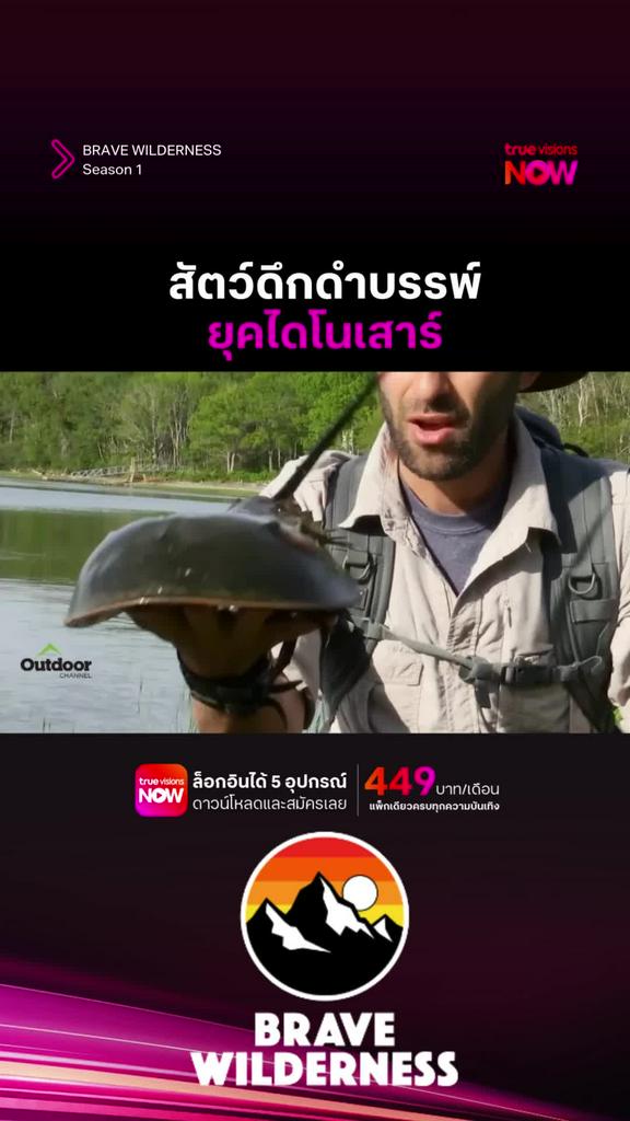 เหลนไดโนเสาร์สินะ l BRAVE WILDERNESS S1