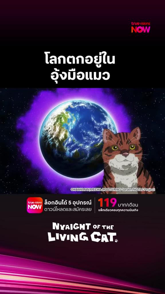 ติดตามรับชมที่ TrueVisionsNow l Nyaight of the Living Cat