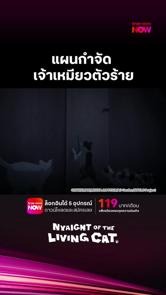 ติดตามรับชมที่ TrueVisionsNow l Nyaight of the Living Cat