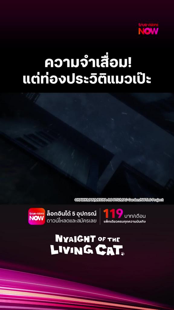 ติดตามรับชมที่ TrueVisionsNow l Nyaight of the Living Cat