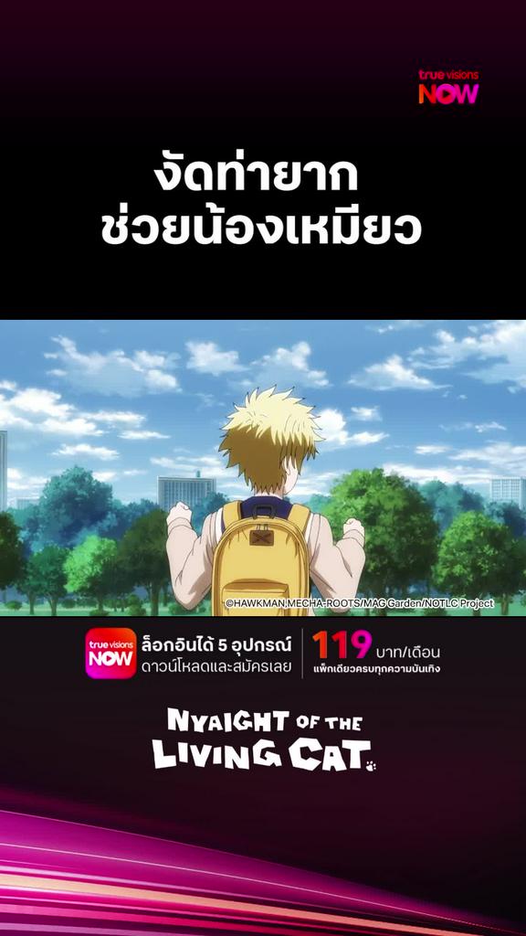 ติดตามรับชมที่ TrueVisionsNow l Nyaight of the Living Cat