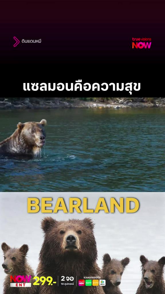 ไม่ใช่แค่มนุษย์เท่านั้นที่แซลมอน l BEARLAND