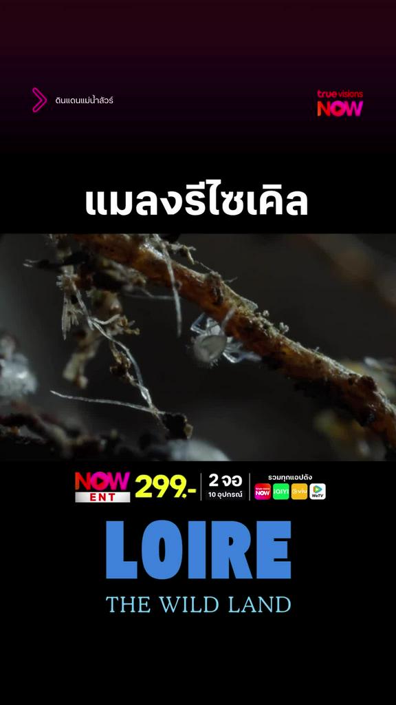 รีไซเคิลเป็นหน้าที่ของทุกชีวิตบนโลกใบนี้ l LOIRE THE WILD LAND