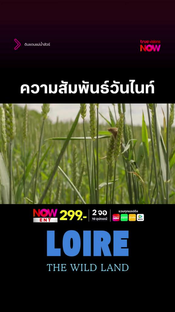 พบรักในเสี้ยววินาที l LOIRE THE WILD LAND