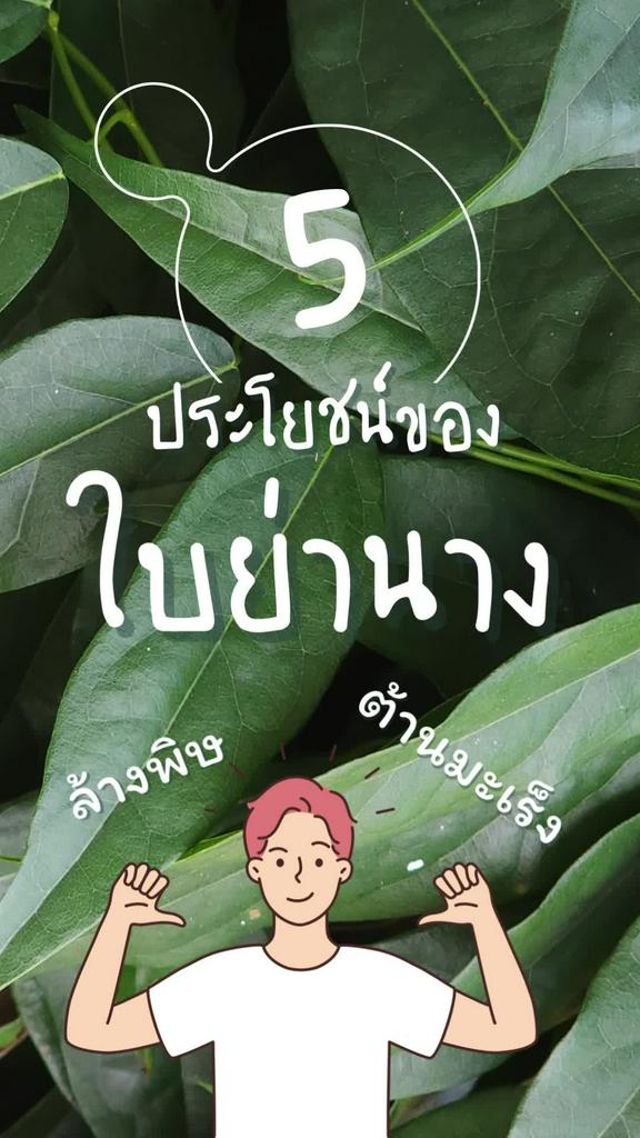 ประโยชน์ของใบย่านาง สำหรับผู้ชายรักสุขภาพ