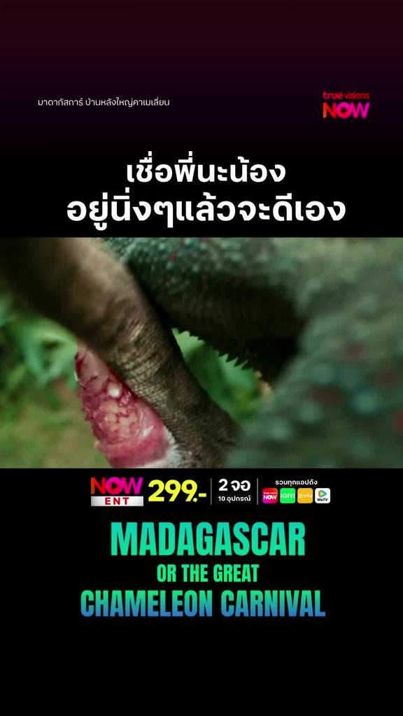 เชื่อพี่นะน้อง l MADAGASCAR OR THE GREAT CHAMELEON CARNIVAL