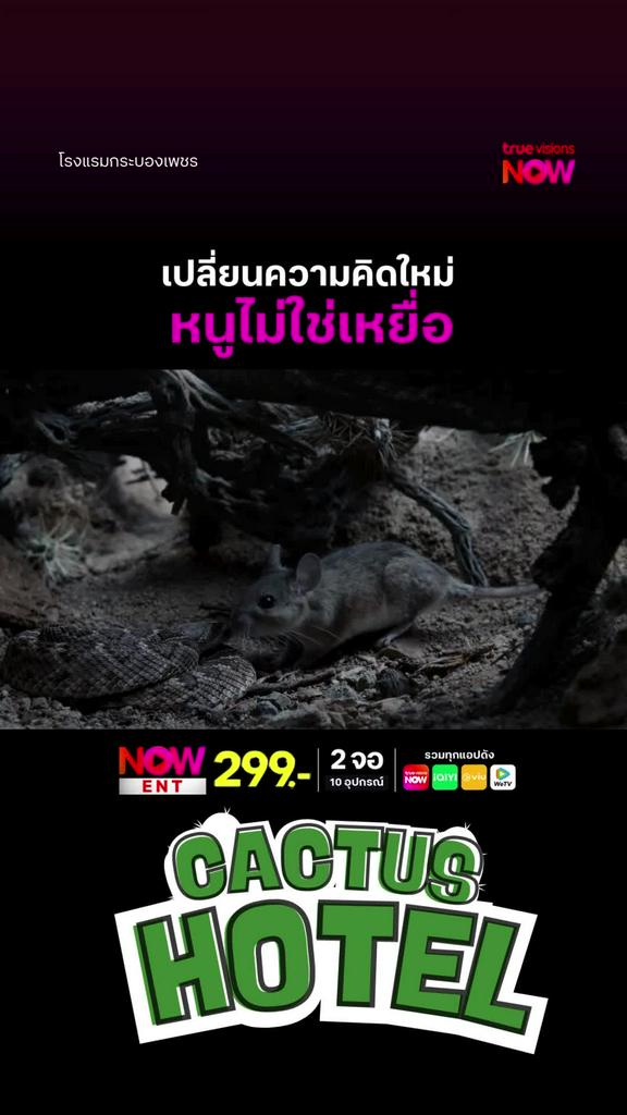 ความสัมพันธ์แบบพึ่งพาสินะ l CACTUS HOTEL
