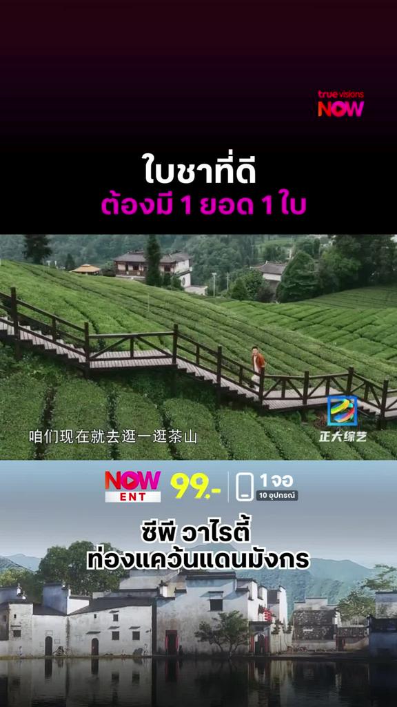คนรักชาต้องดู l ZHENGDA VARIETY SHOW