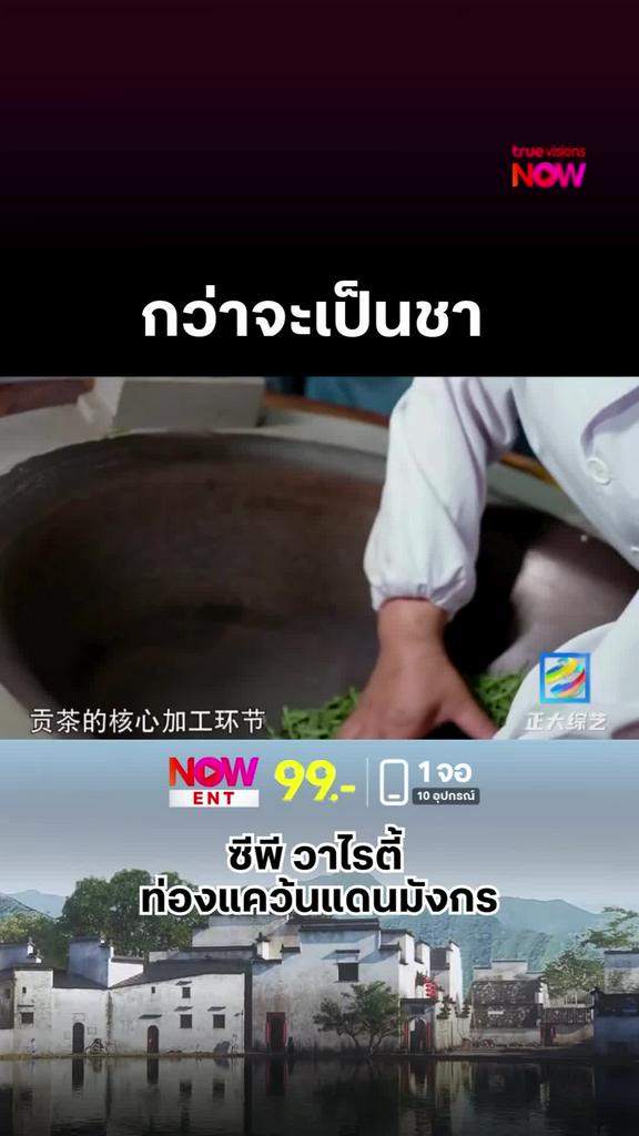 กว่าจะมาเป็นชาสักแก้ว ไม่ง่ายเลยจริงๆ l ZHENGDA VARIETY SHOW