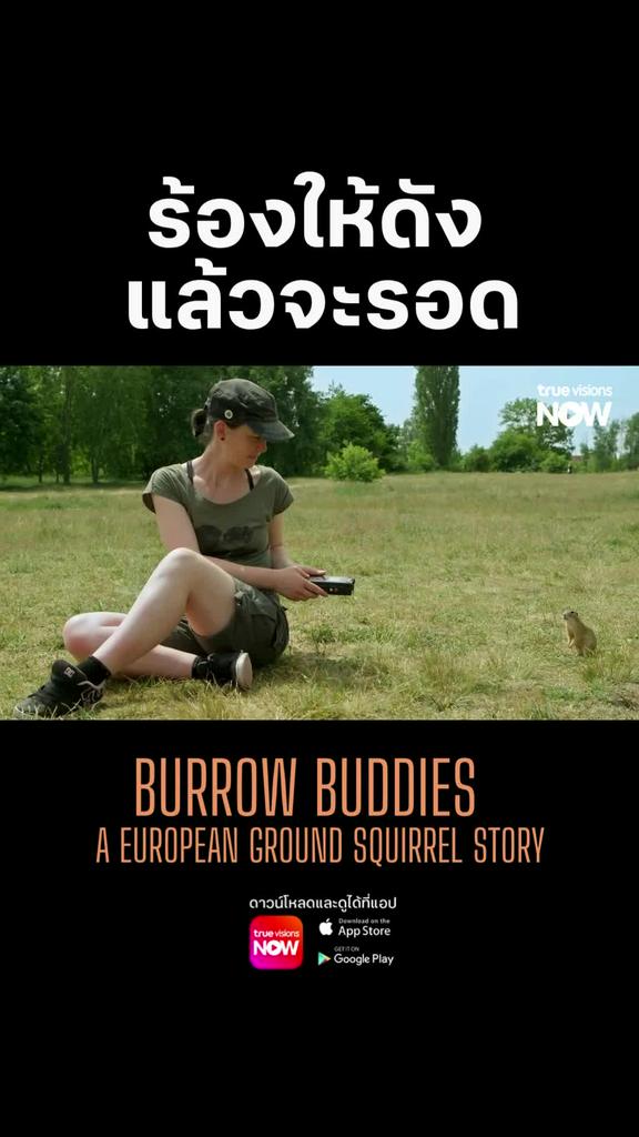 อยากรอดตายไม่ต้องใช้เทคนิค แค่ร้องให้ดังที่สุดก็พอ l BURROW BUDDIES A EUROPEAN GROUND SQUIRREL STORY